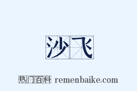 沙飞是什么意思的图片